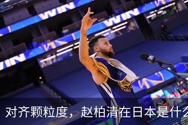 对齐颗粒度，赵柏清在日本是什么水平？