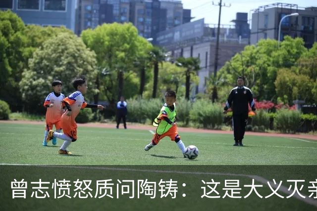 曾志愤怒质问陶铸：这是大义灭亲吗，陶铸回应受委屈顾全大局！