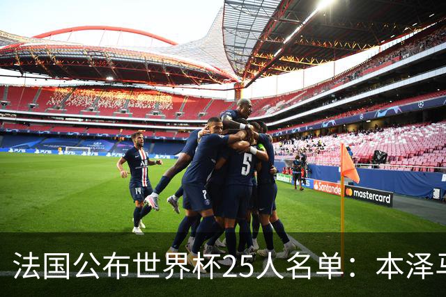法国公布世界杯25人名单：本泽马姆巴佩领衔