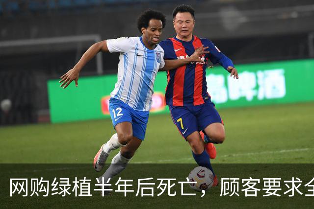网购绿植半年后死亡，顾客要求全额退款，广州一商家拒绝后，被投诉到闭店，还被告上法庭，商家决定应诉：店都没了，我为什么要妥协？