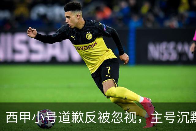 西甲小号道歉反被忽视，主号沉默引球迷愤怒