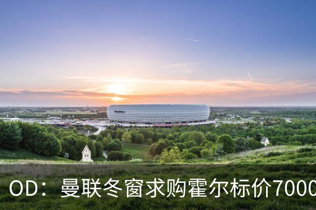 OD：曼联冬窗求购霍尔标价7000万英镑，埃迪·豪或成关键